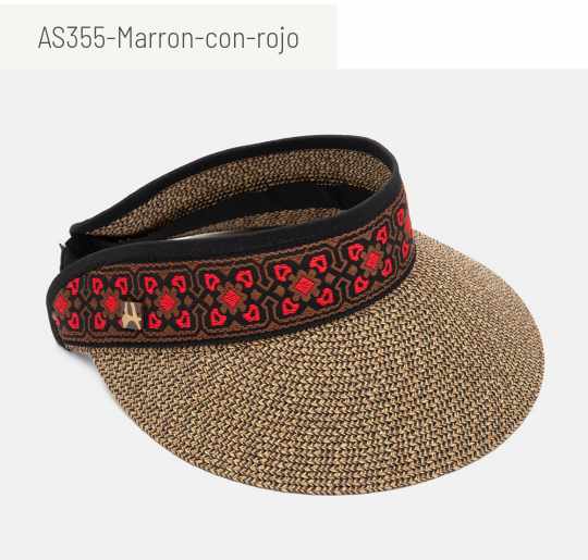 Visera AS355