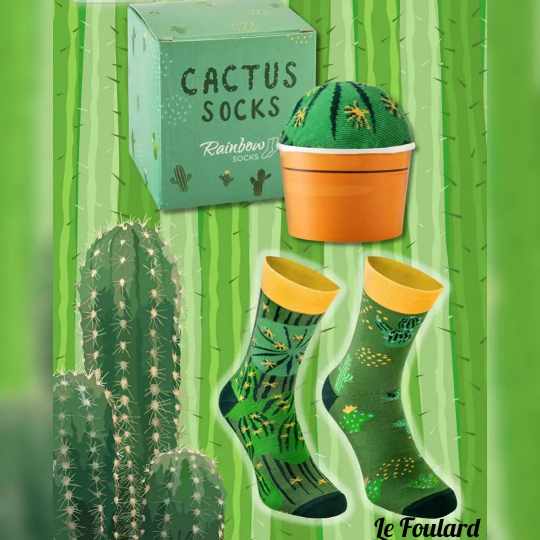 Cactus