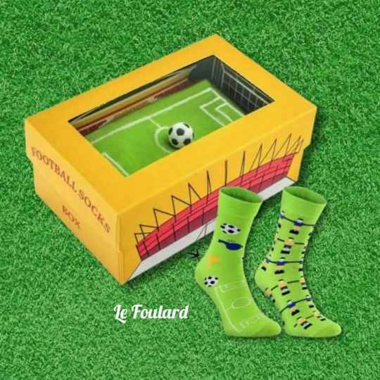 Campo fútbol